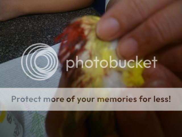 016-1.jpg?t=1293452462