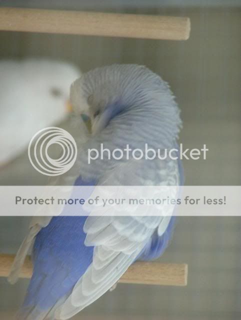 020.jpg?t=1286057019