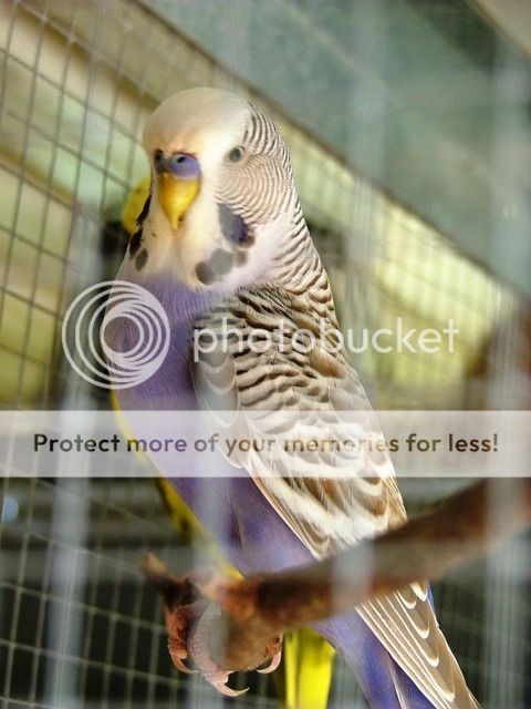 030110025.jpg?t=1268730555