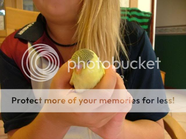 031109030.jpg?t=1257411828