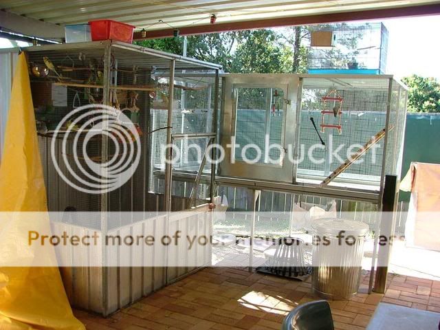 090909001.jpg?t=1252786986