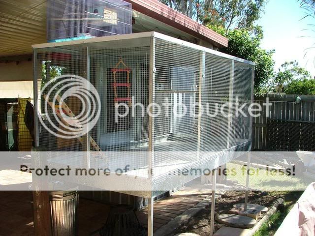 090909002.jpg?t=1252787033