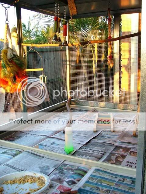 120909036.jpg?t=1252787113