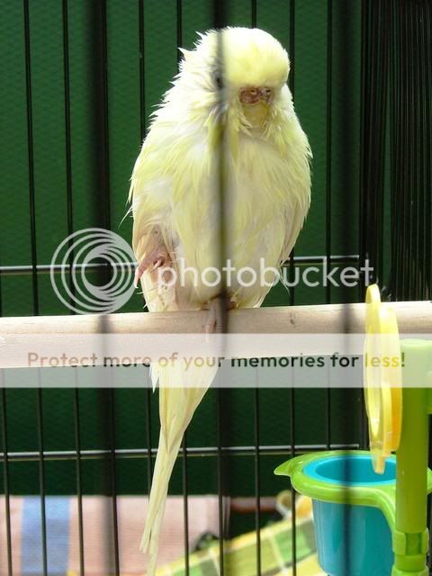 170909013.jpg?t=1253155581