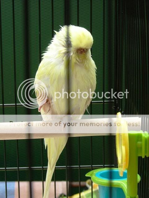 170909014.jpg?t=1253155641