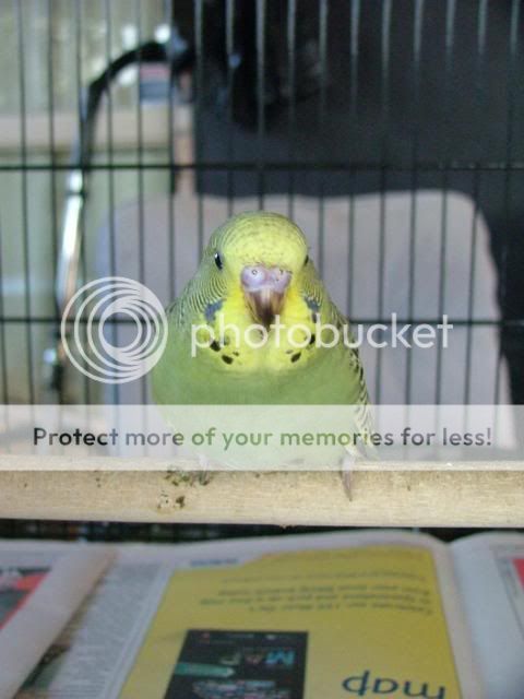 211109040.jpg?t=1258789619