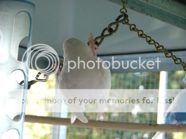 211109072.jpg?t=1258791441