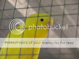 220309022.jpg?t=1243883377