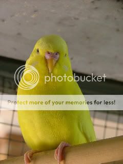 220309037.jpg?t=1243116096