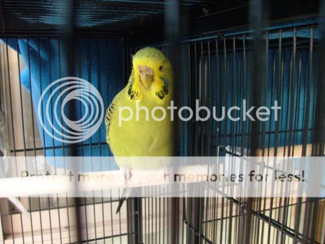 SCALEY2025.jpg?t=1272446531