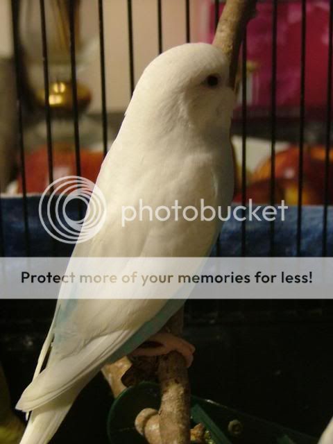 babies1001.jpg?t=1276978231