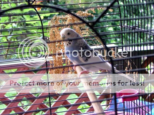 babies20062.jpg?t=1248000623