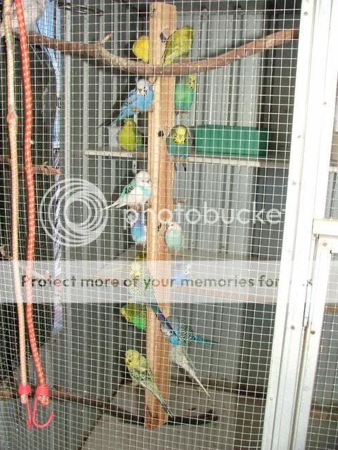 babies300510026.jpg?t=1275197107