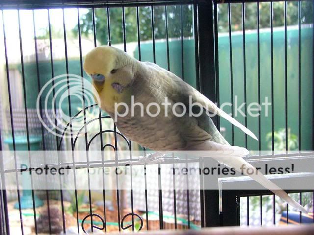 kazzy010.jpg?t=1272846366