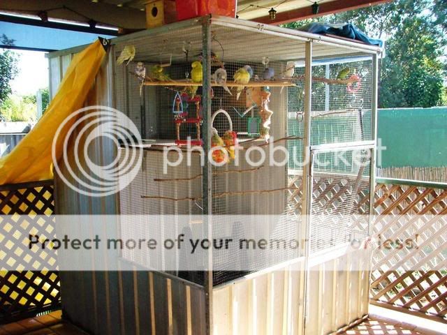 misc025.jpg?t=1252786902