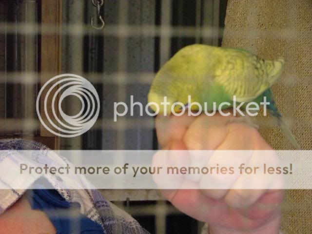 misc1015.jpg?t=1274088690