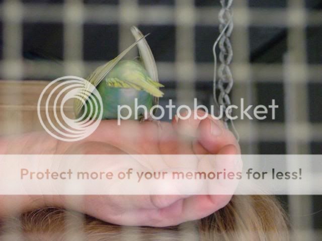 misc1041.jpg?t=1274088573