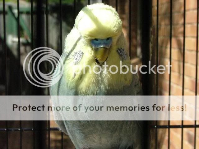 new180410002.jpg?t=1271580706