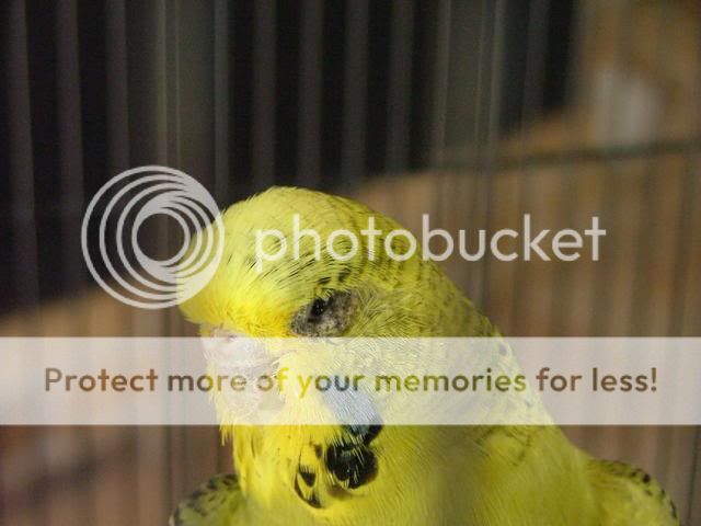 new180410014.jpg?t=1271580558