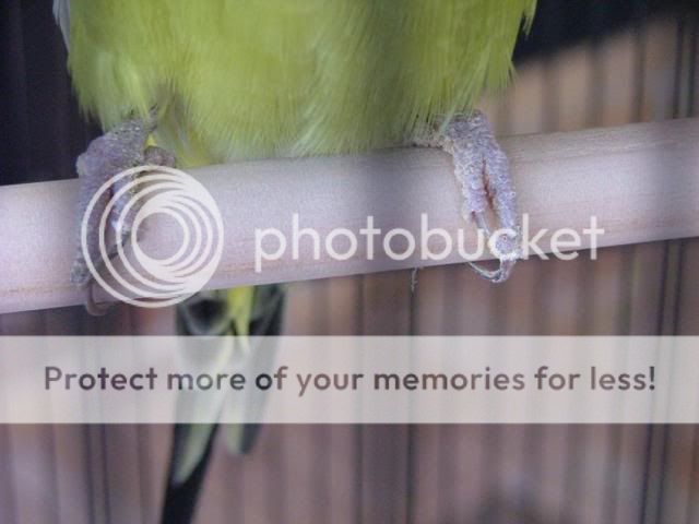 new180410032.jpg?t=1271580597