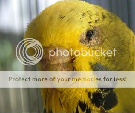 new180410056-1.jpg?t=1271587135