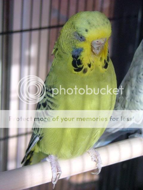 new180410093.jpg?t=1271586997