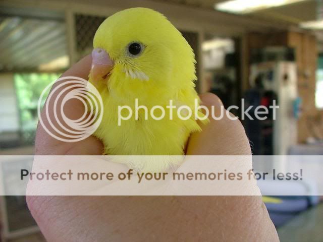 newbabies251209005.jpg?t=1261698620