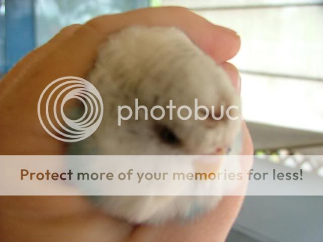 sickbaby010.jpg?t=1267678314