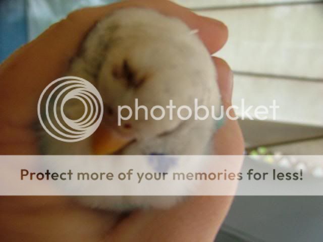 sickbaby011.jpg?t=1267678345