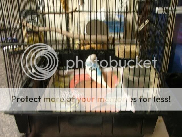 sickbaby014.jpg?t=1267678381