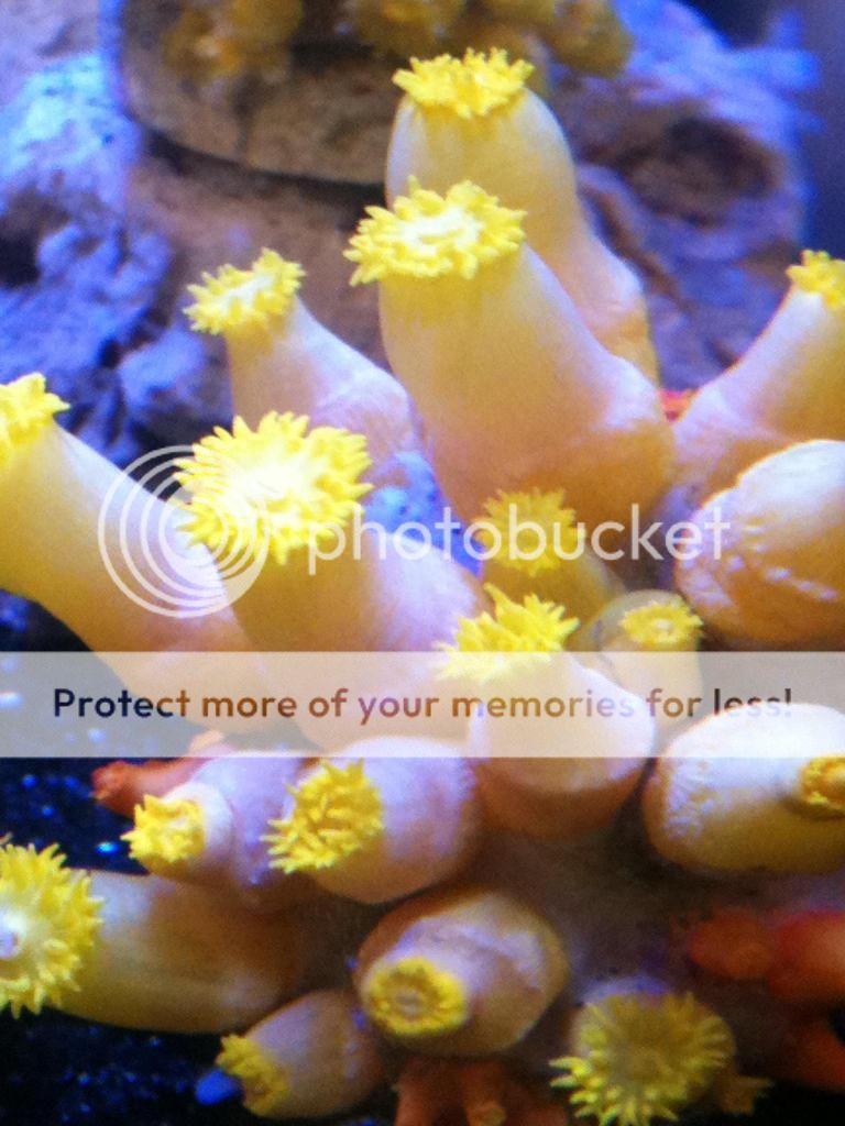 photo-12-2.jpg