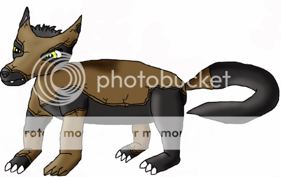 ADAMDRAWING-1-1.png