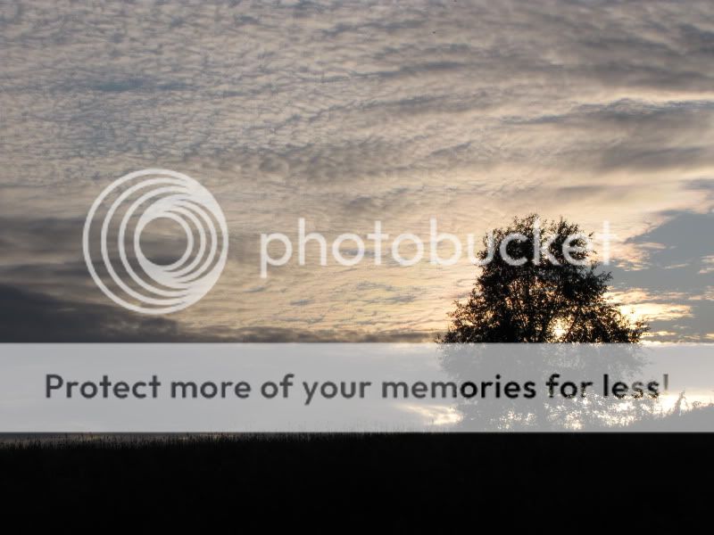 Fotografie