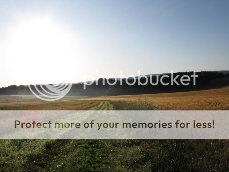 Fotografie