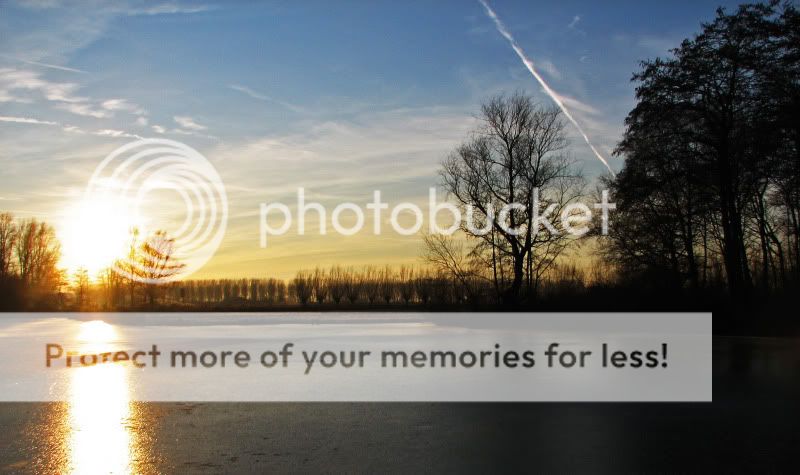 Fotografie