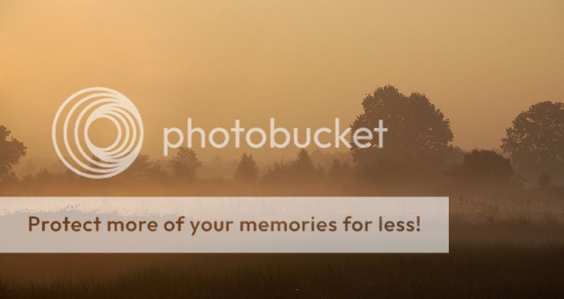 Fotografie