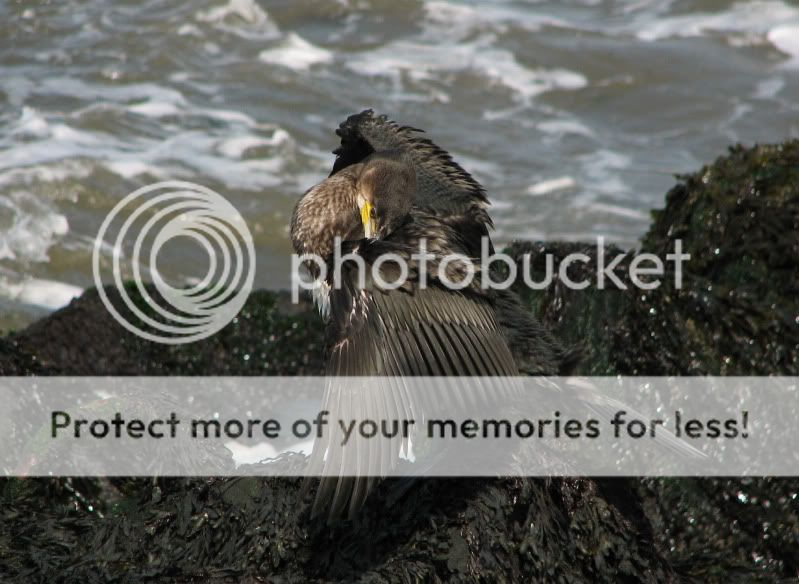 Fotografie