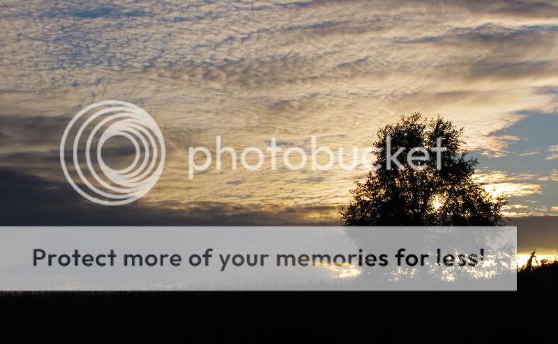 Fotografie