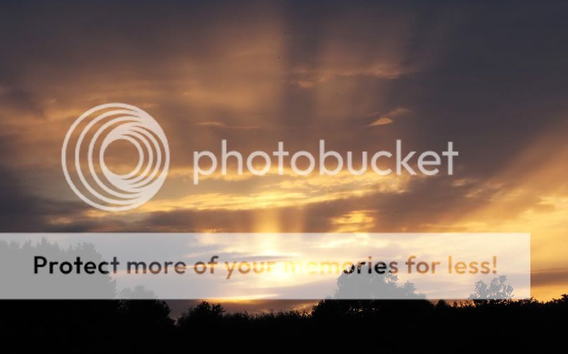 Fotografie