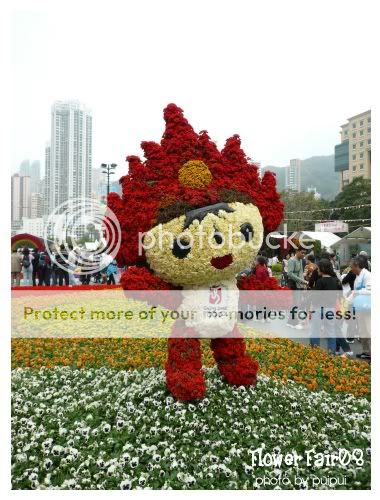 FLOWER FAIR @ HONGKONG 2008
.
