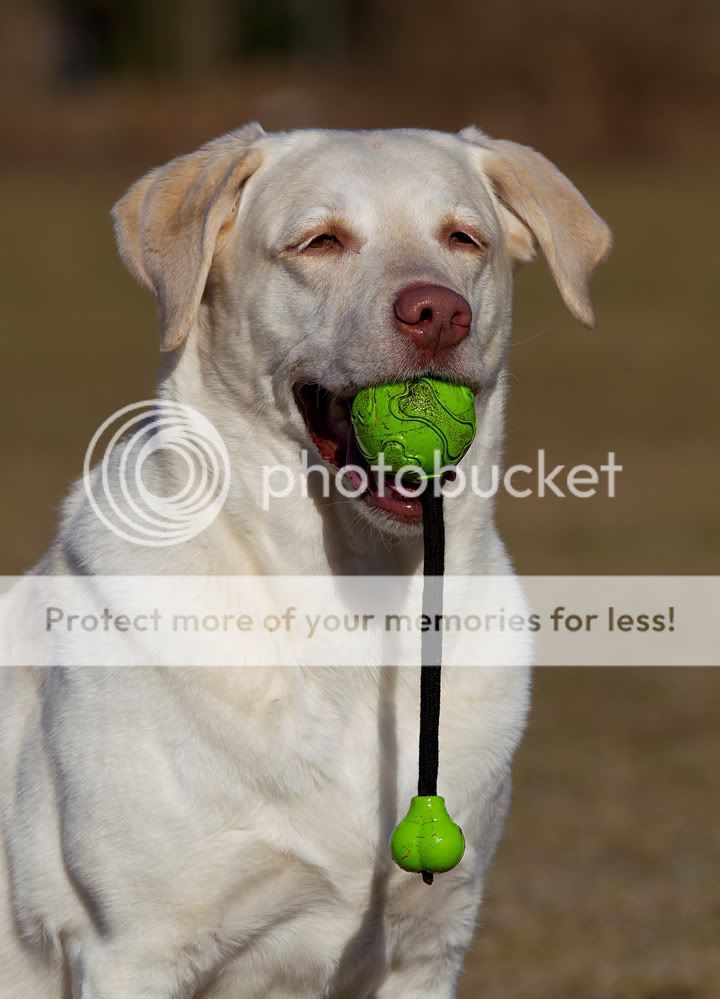 IMAGE: http://i635.photobucket.com/albums/uu79/Renesk/Fie%2020-02-11/2200.jpg