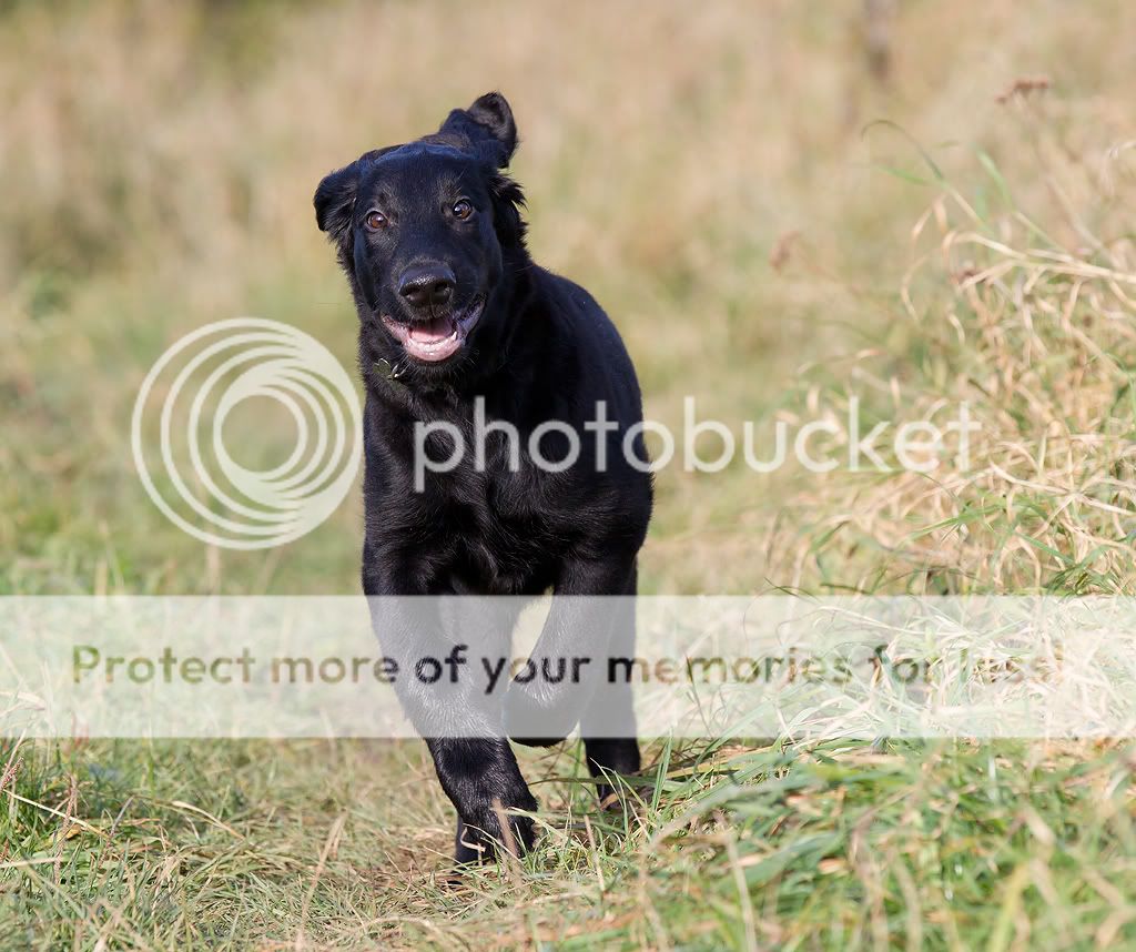 IMAGE: http://i635.photobucket.com/albums/uu79/Renesk/_R5F7965-1.jpg