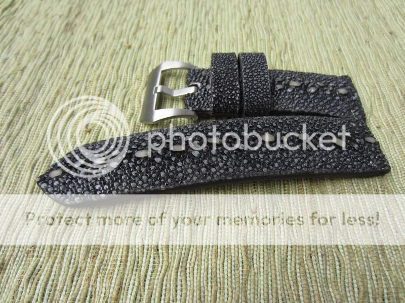 BlackPearlSalvatore01.jpg