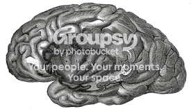 Post image for Just Another Teachin’ Tuesday: The Insular Cortex
