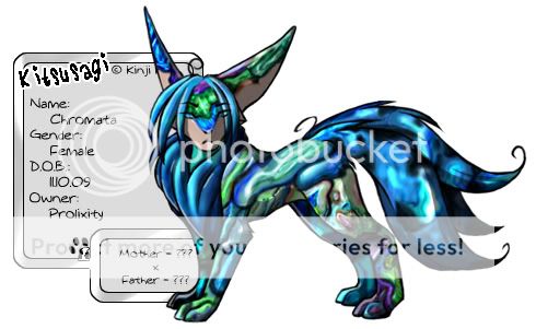 User Image
