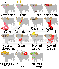 User Image