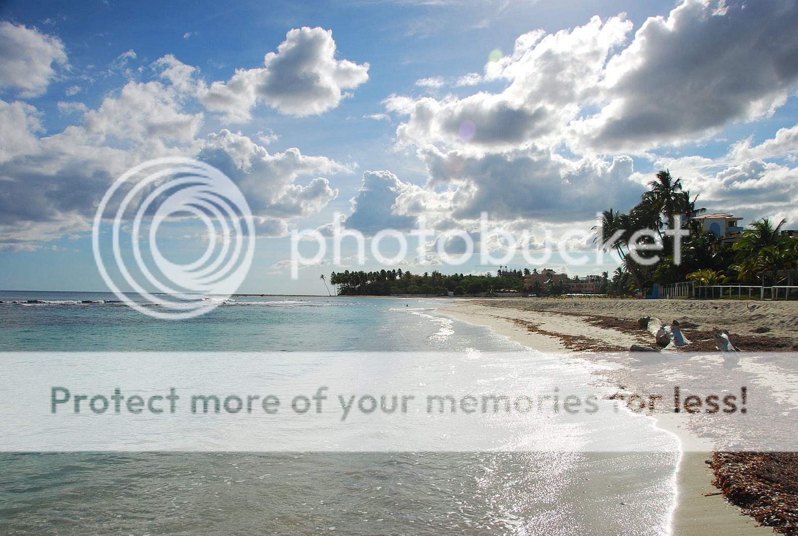 http://i635.photobucket.com/albums/uu78/dominicanahelp/9ad246ad.jpg?t=1271464908