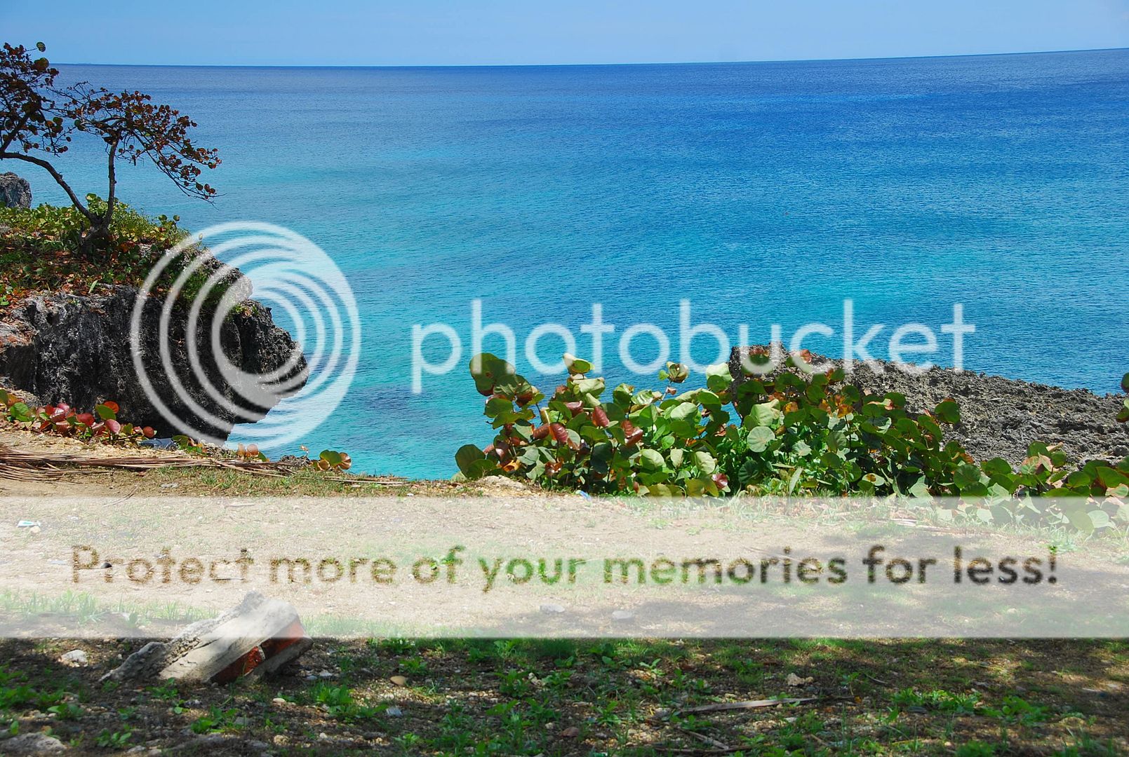 http://i635.photobucket.com/albums/uu78/dominicanahelp/e4b041f7.jpg?t=1271462469