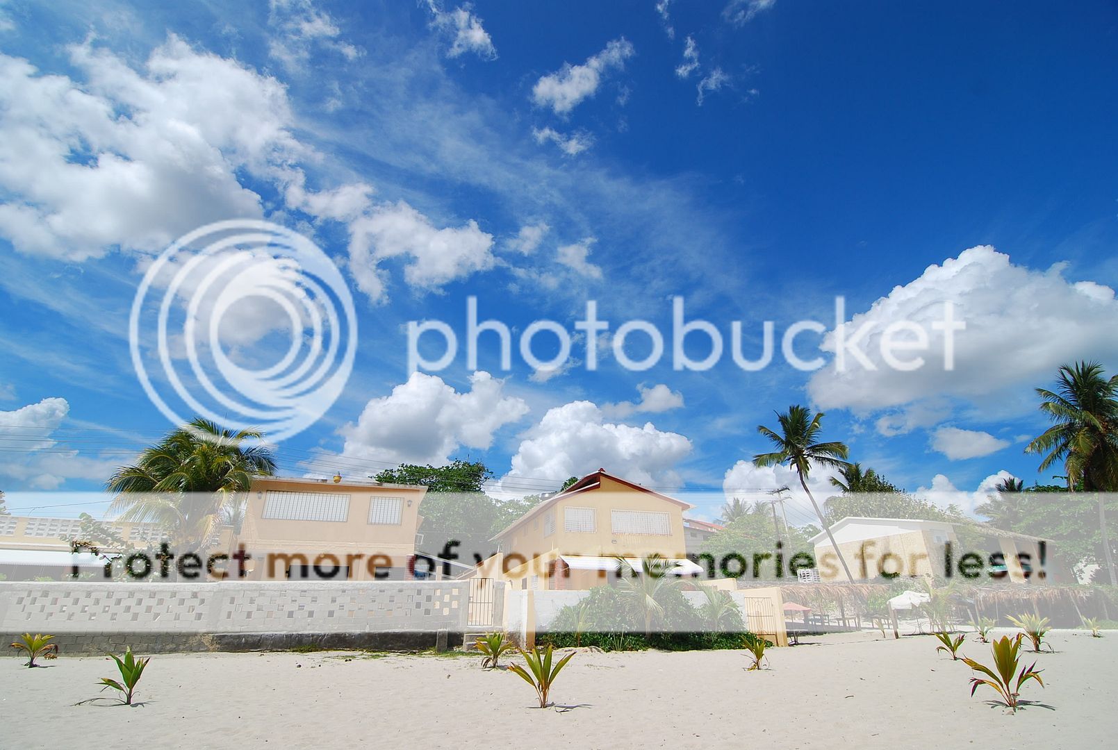 http://i635.photobucket.com/albums/uu78/dominicanahelp/fc422d7d.jpg?t=1271463604